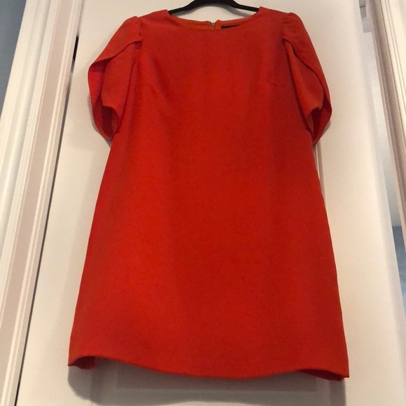 Gorgeous dress - Picture 2 of 6